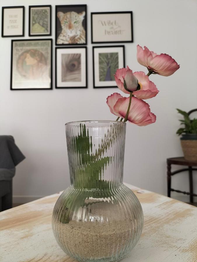 Apartamento Gades Conil C كونيل ذي لا فرونتيرا المظهر الخارجي الصورة